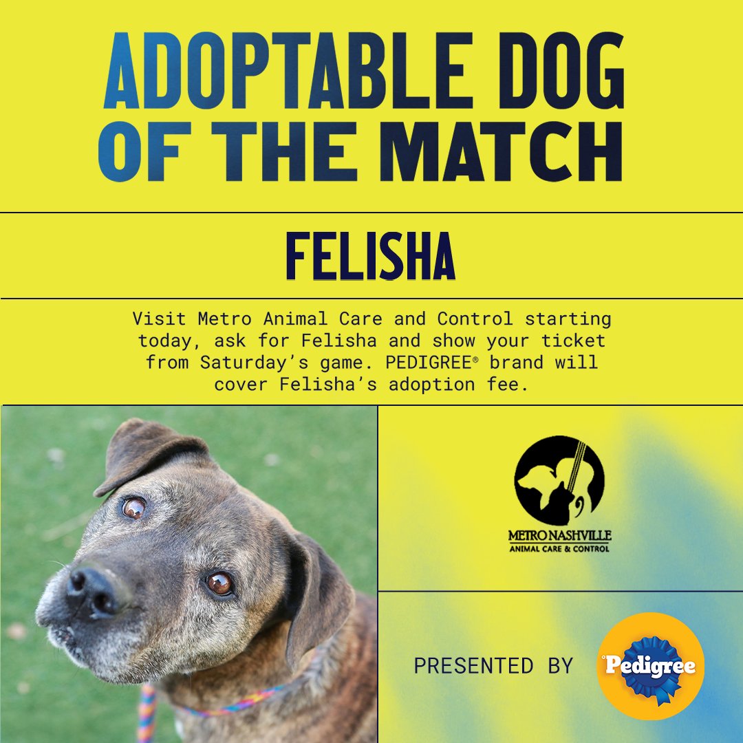 Nashville SC tweet media