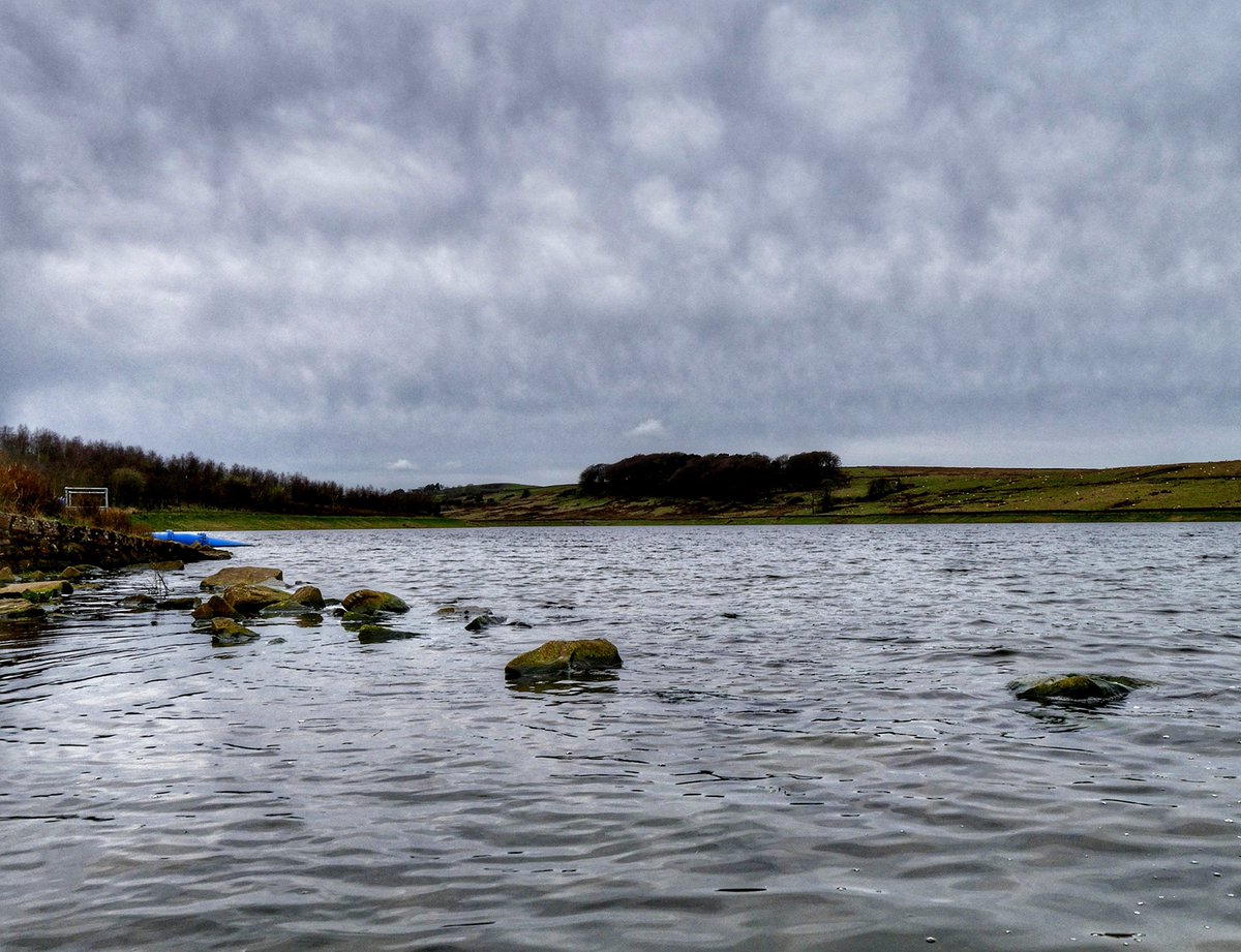 Mick ☯️☮🕉📚📷🌈🕊️☕🌍 tweet media