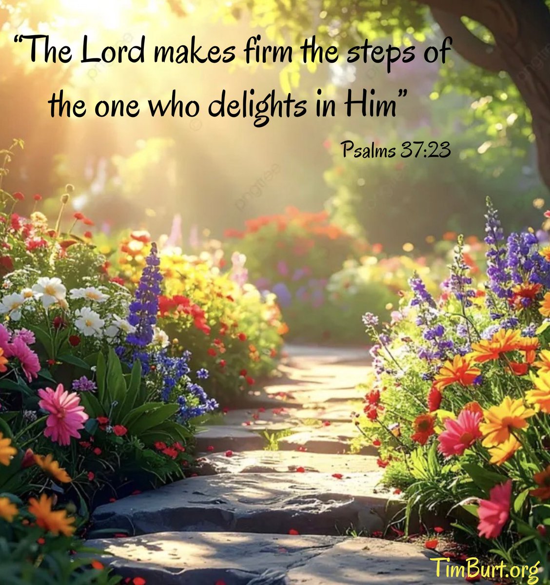 Timothy Burt tweet media