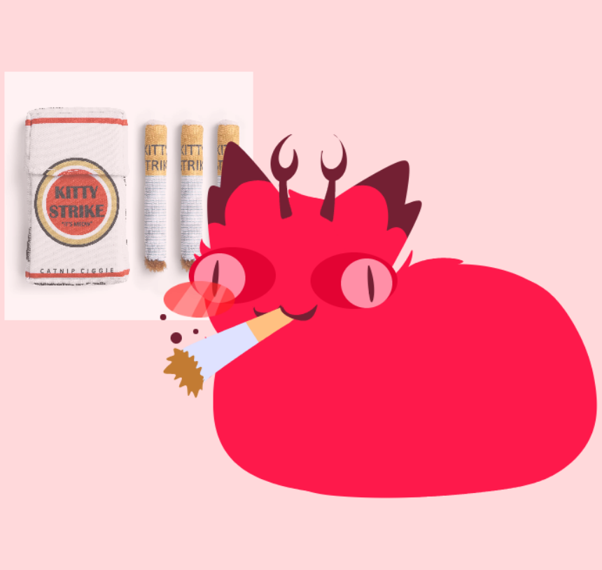 Shuberry 🔍🎲 & 📻🍎 tweet media