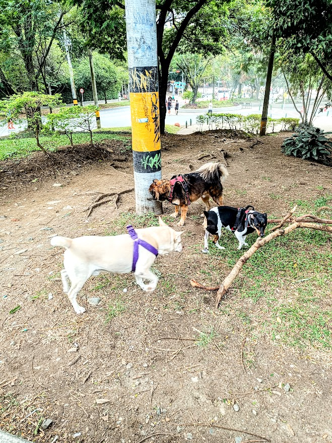 Reinaldo Spitaletta tweet media