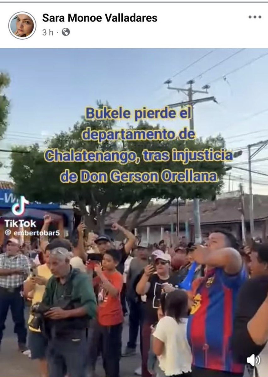 Walter Araujo y Toda la Verdad tweet media