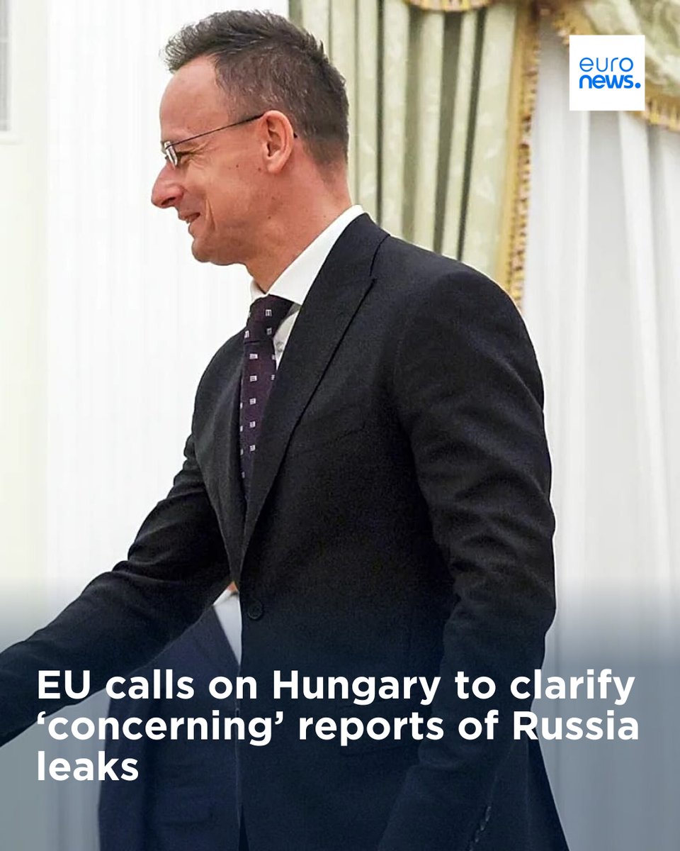 euronews tweet media