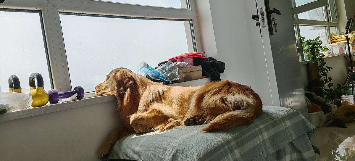 july gambini tweet media