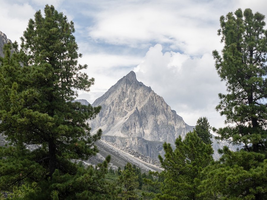 Mishel Jane tweet media