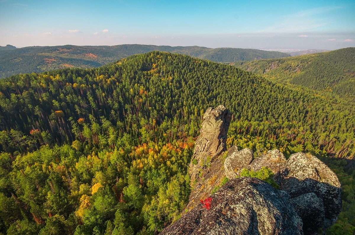 Mishel Jane tweet media