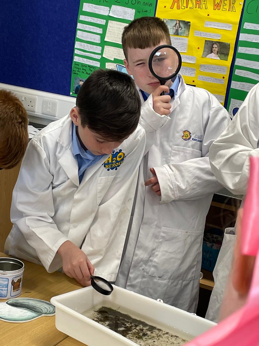 National Federation of Group Water Schemes tweet media