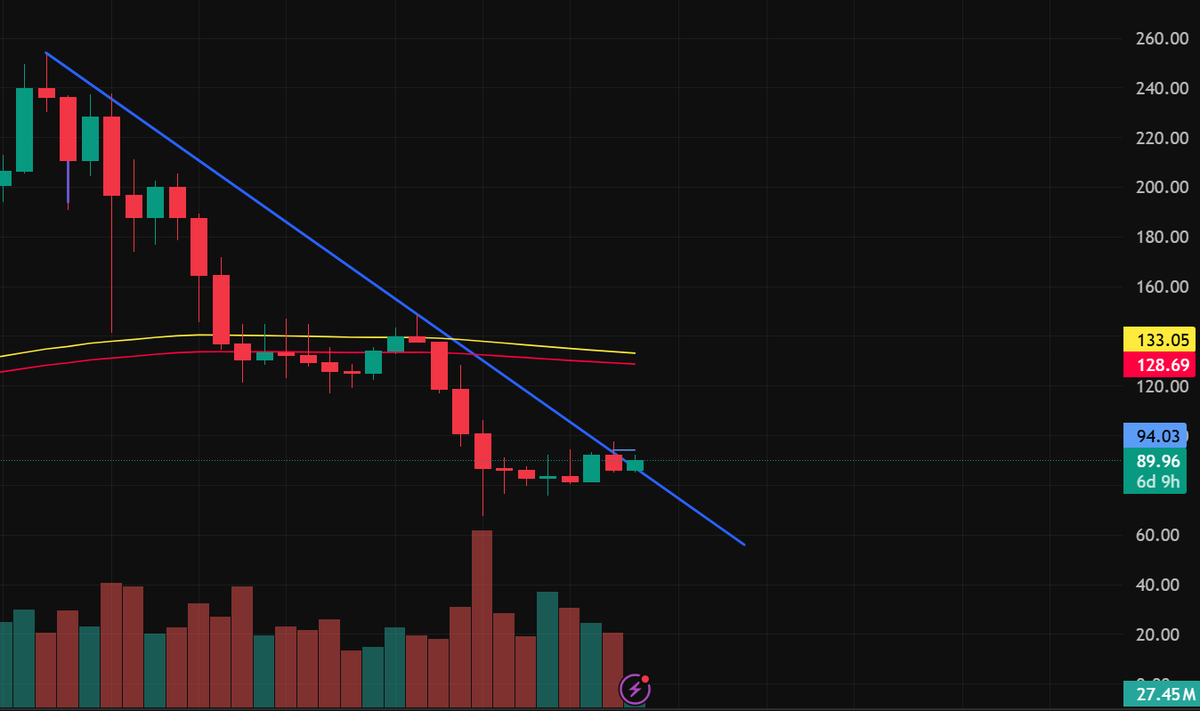 Candice_cc tweet media