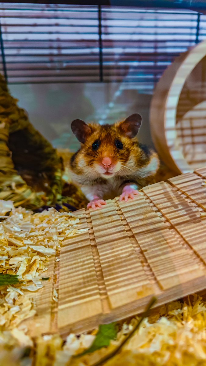 Milka 🤱🏻 tweet media