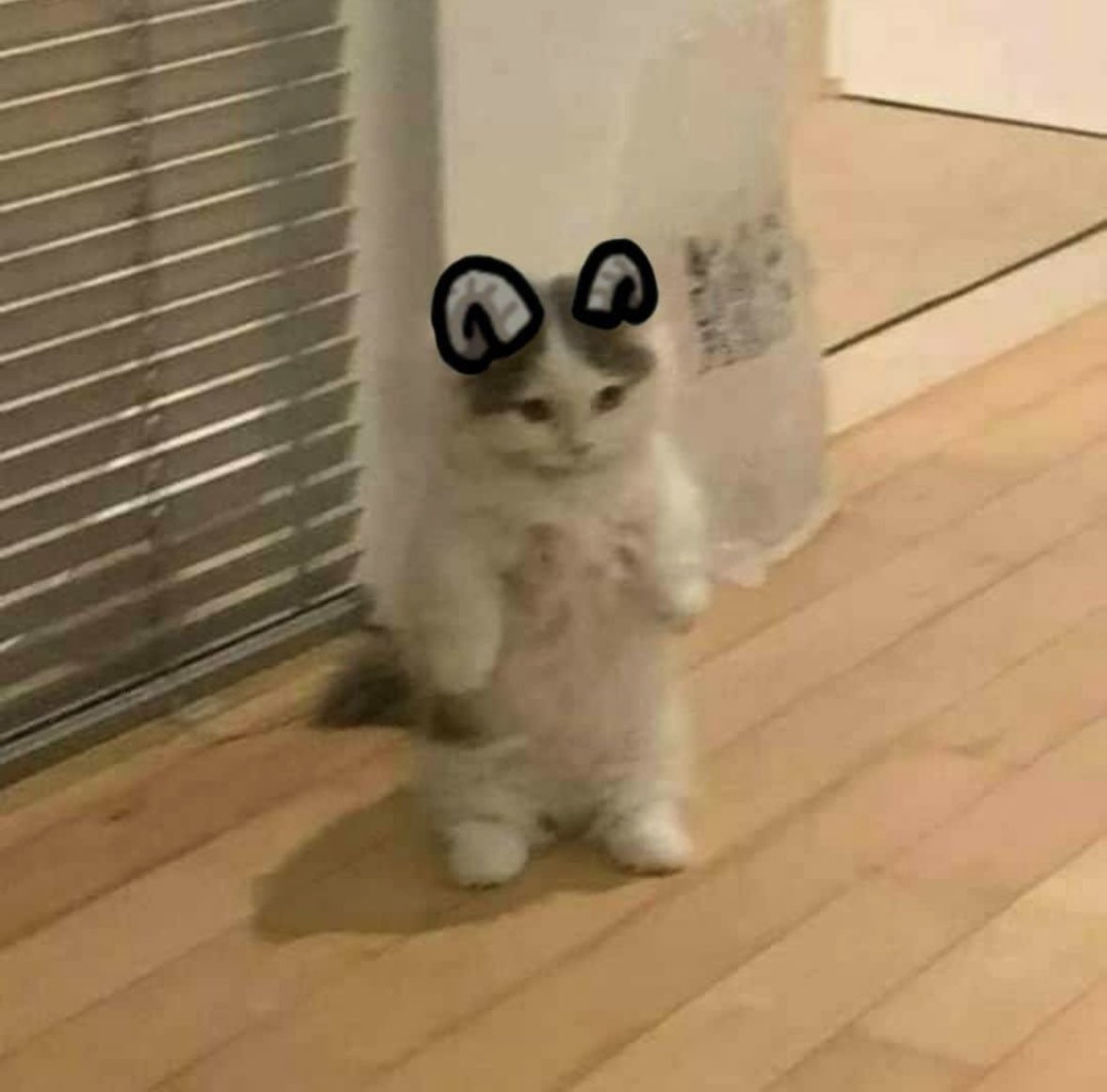 Tiger.AywA tweet media