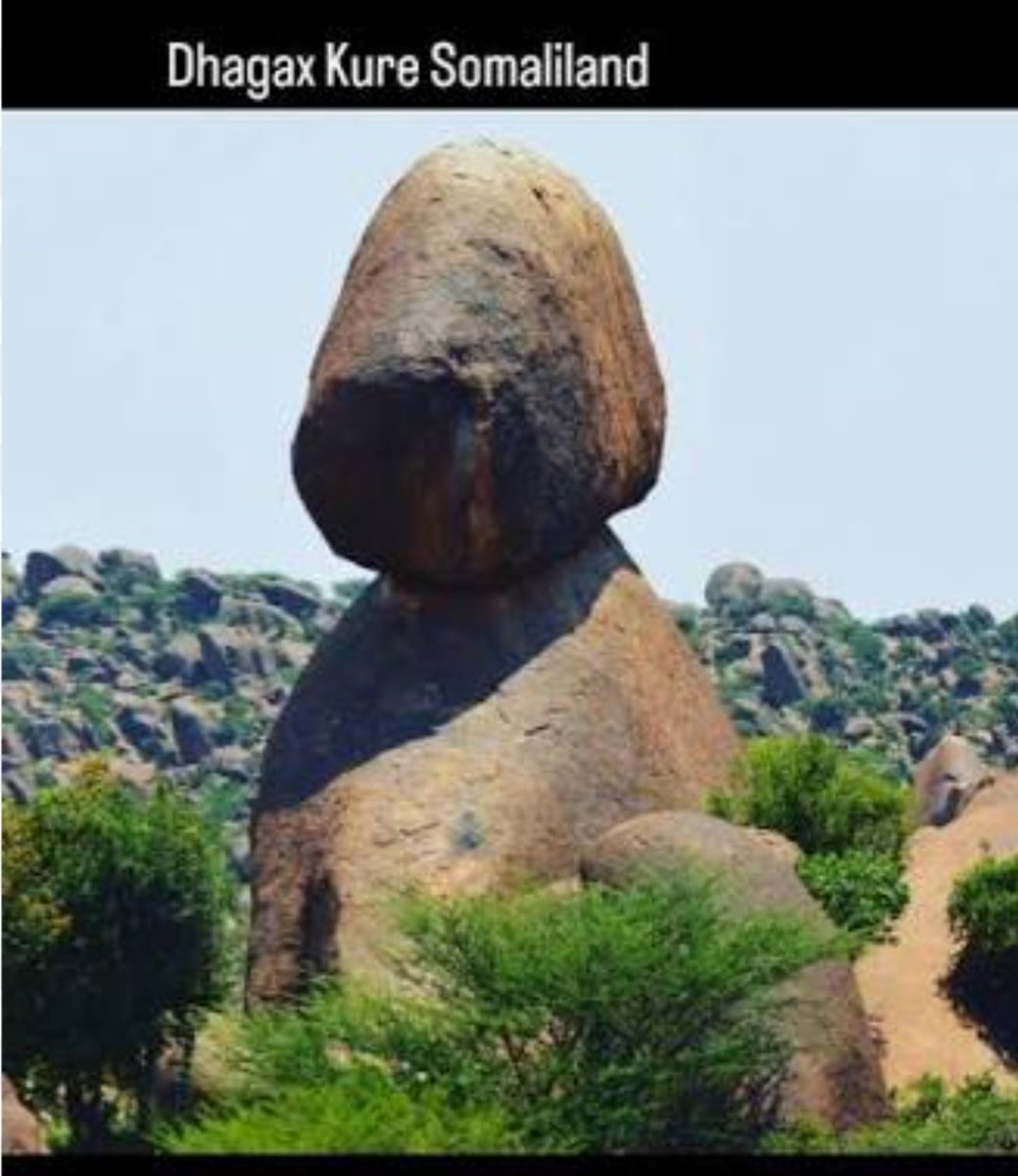 Aw Qadar tweet media