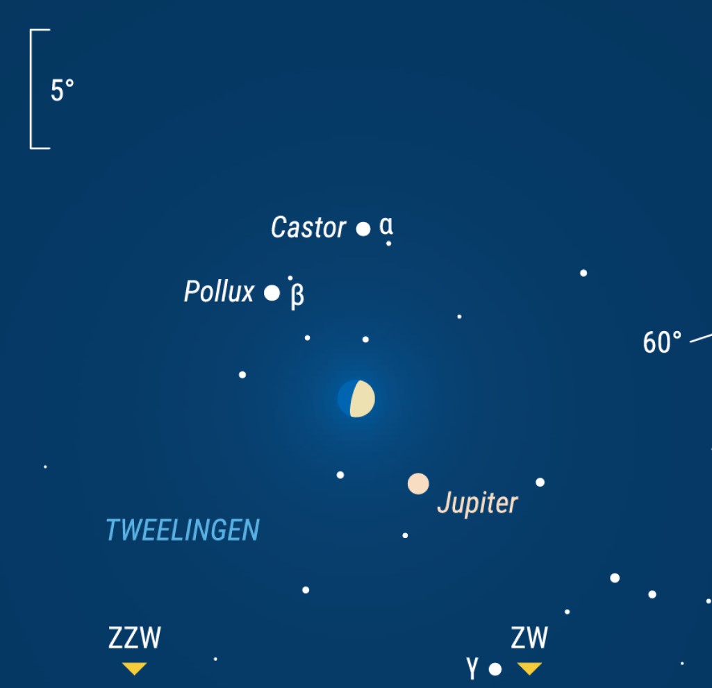 Zenitonline tweet media