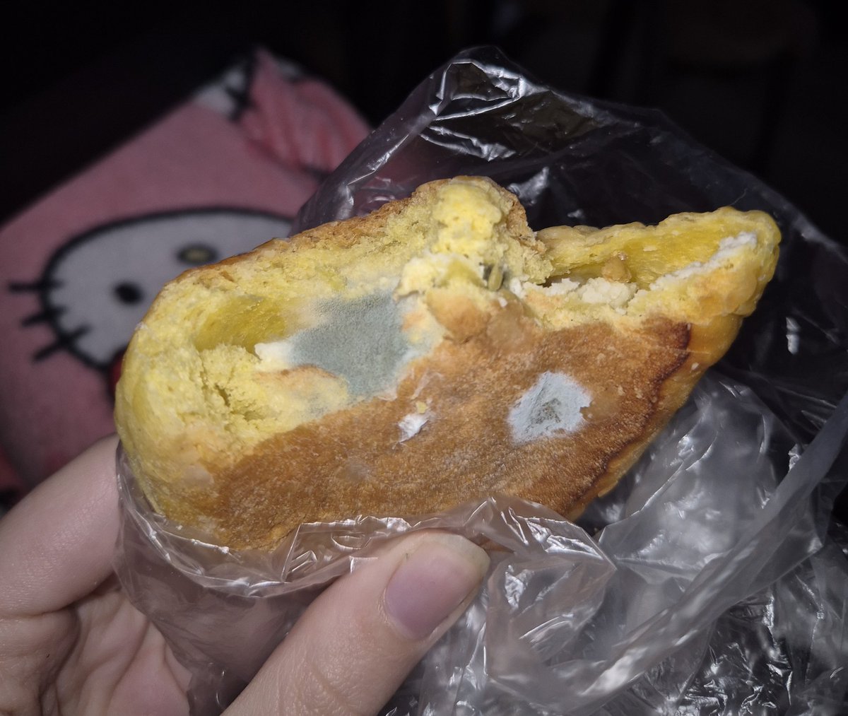 Tomek loves Randal! 🐈 tweet media