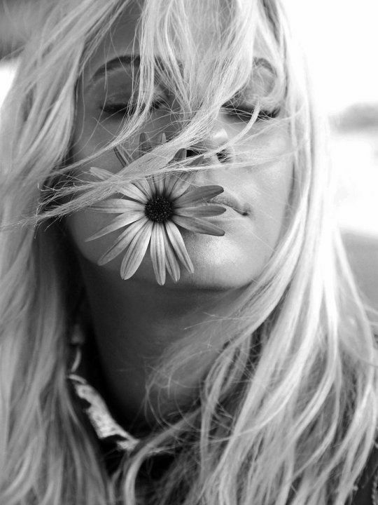 Vannerood tweet media