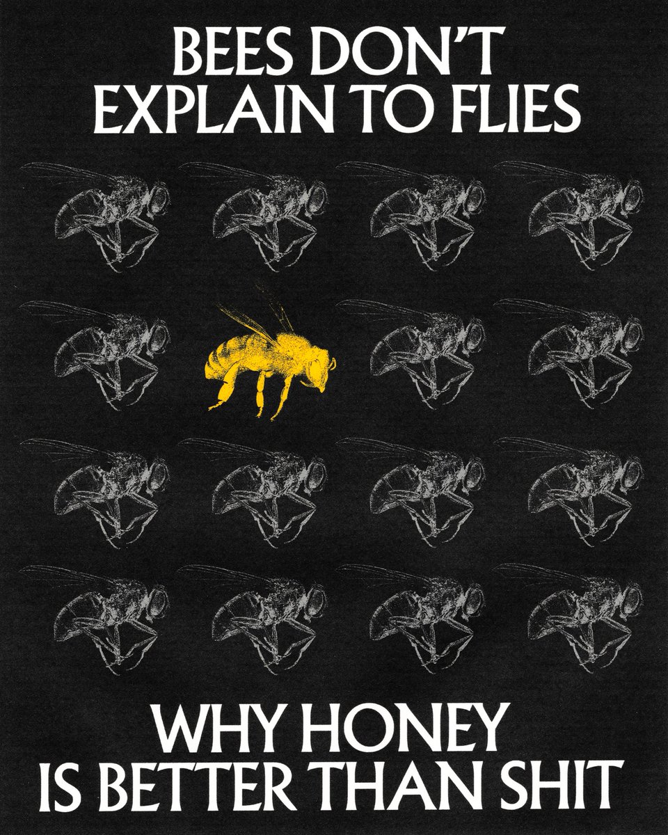 Jesse Nyberg tweet media