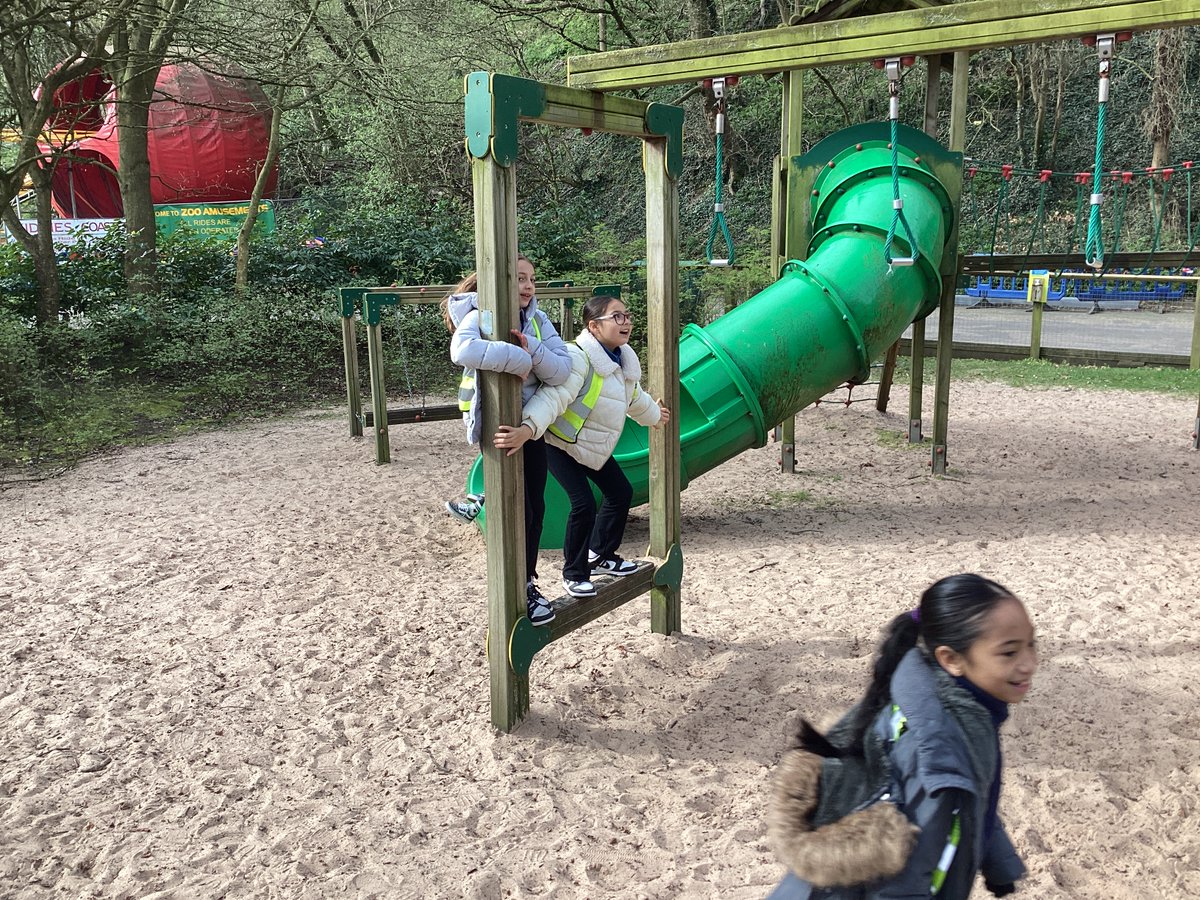 Timberley Academy tweet media