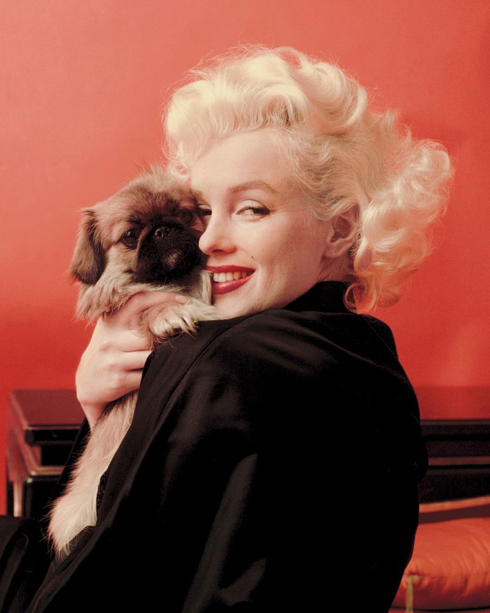 Marilyn Monroe tweet media