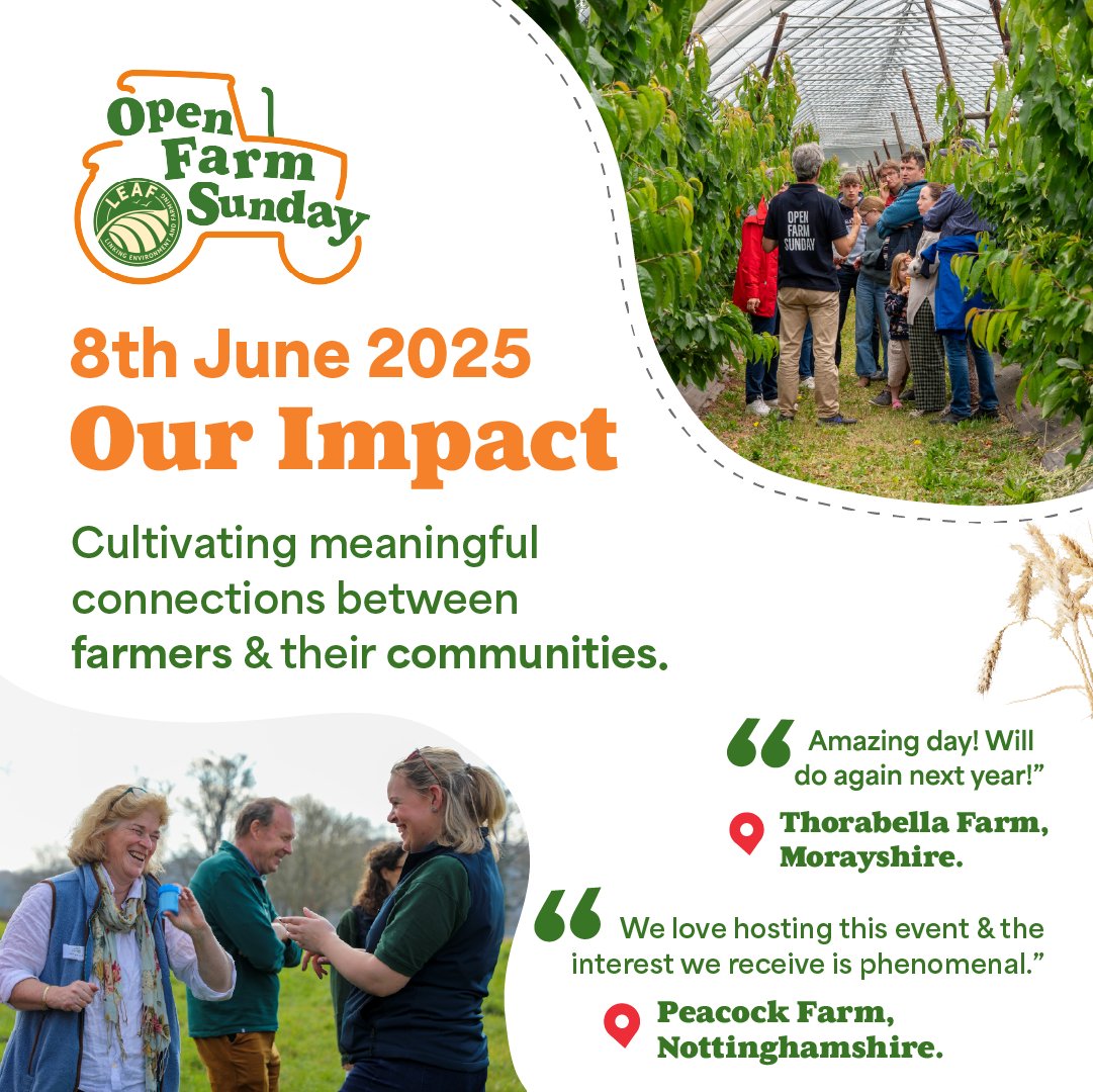 OpenFarmSunday tweet media