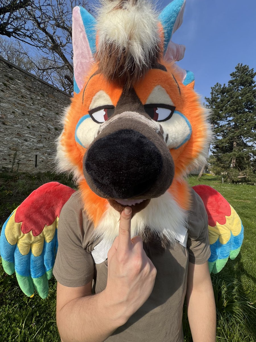 Little photoshoot of Matthew the maned wolf &amp; parrot hybrid ^^ it was my first time making wings with feathers and I love the result 🌟🌟
I just hope my commissioner won't fly away if there's too much wind : (

#fursuit #fursuitmaker #fursuitmaking