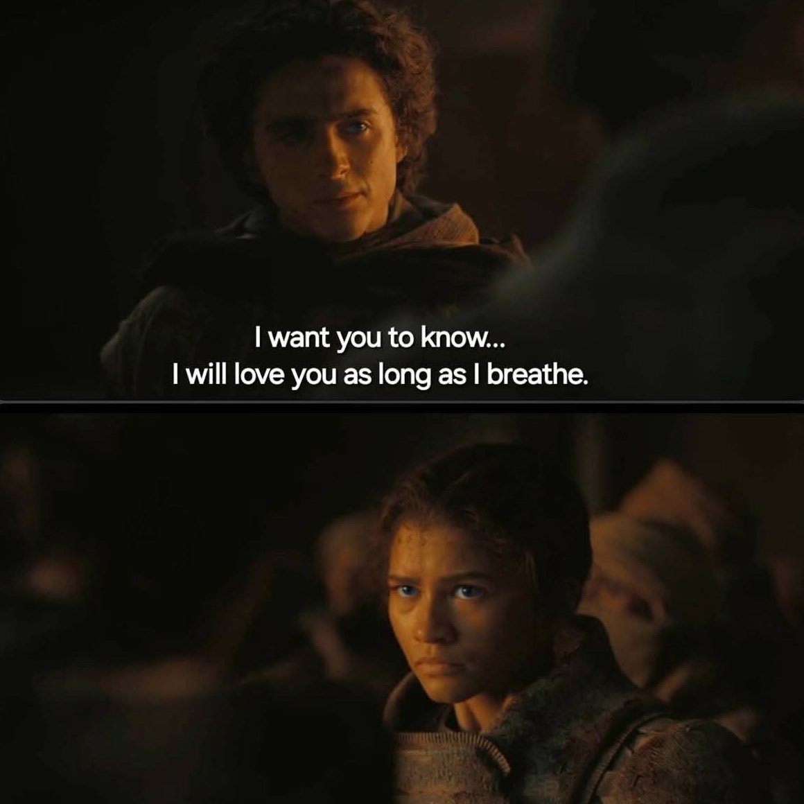 Shadow Knight tweet media