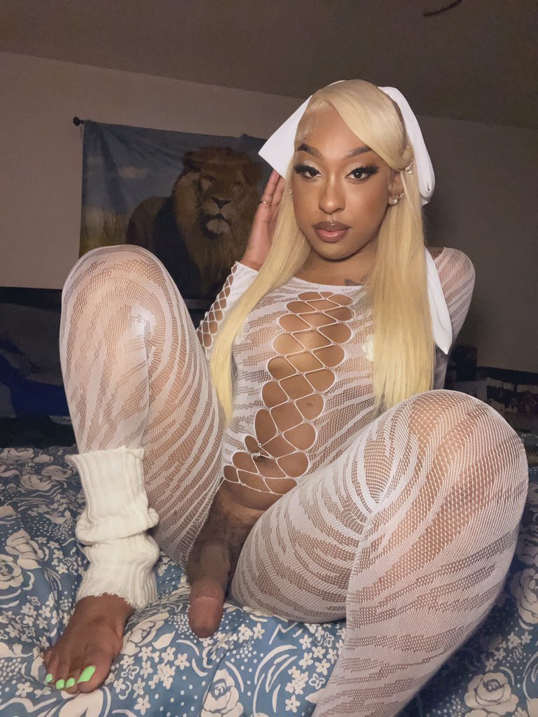 Trans Punani tweet media