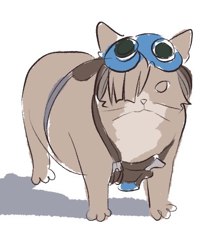 냐냐냥 tweet media