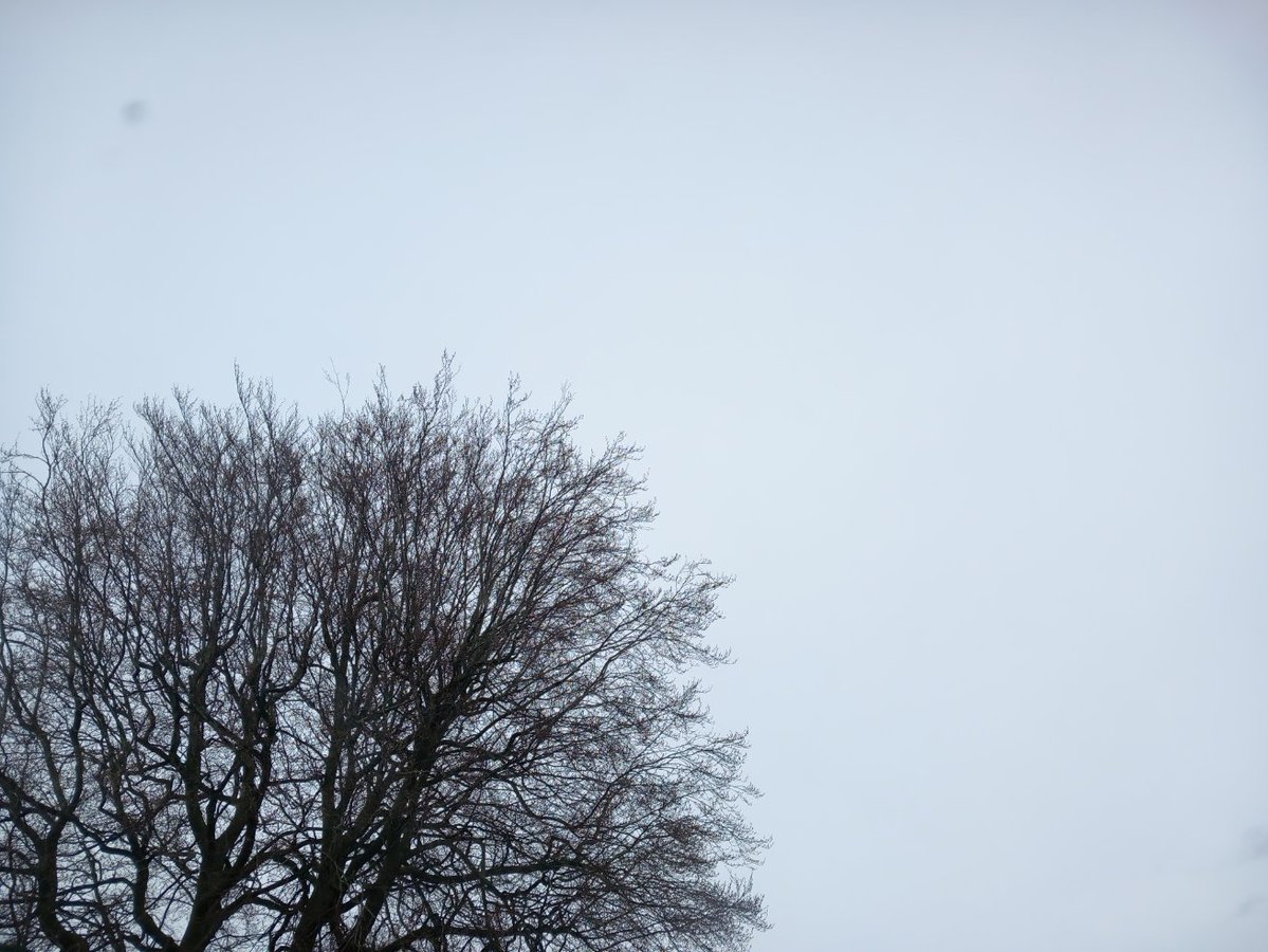 TheEndOfEverything tweet media