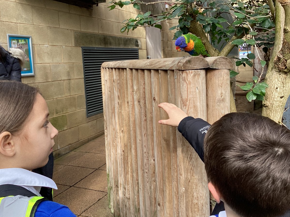 Timberley Academy tweet media