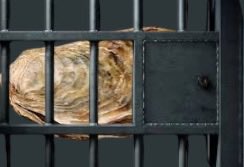 blizzard🪼 VICTOR GIDEON ILY tweet media