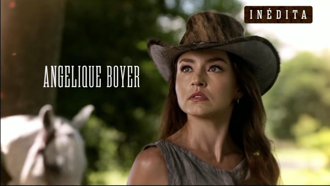 quel 🏹 tweet media