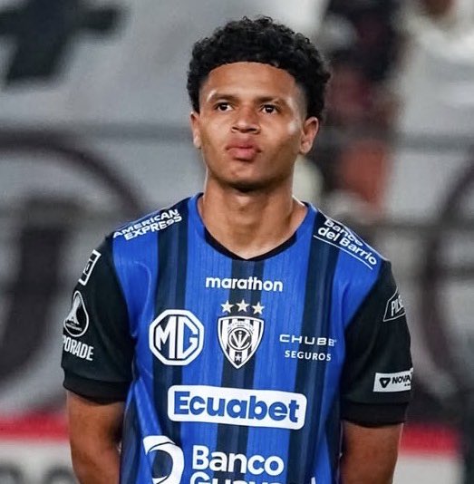 Gonzalo Tortosa tweet media