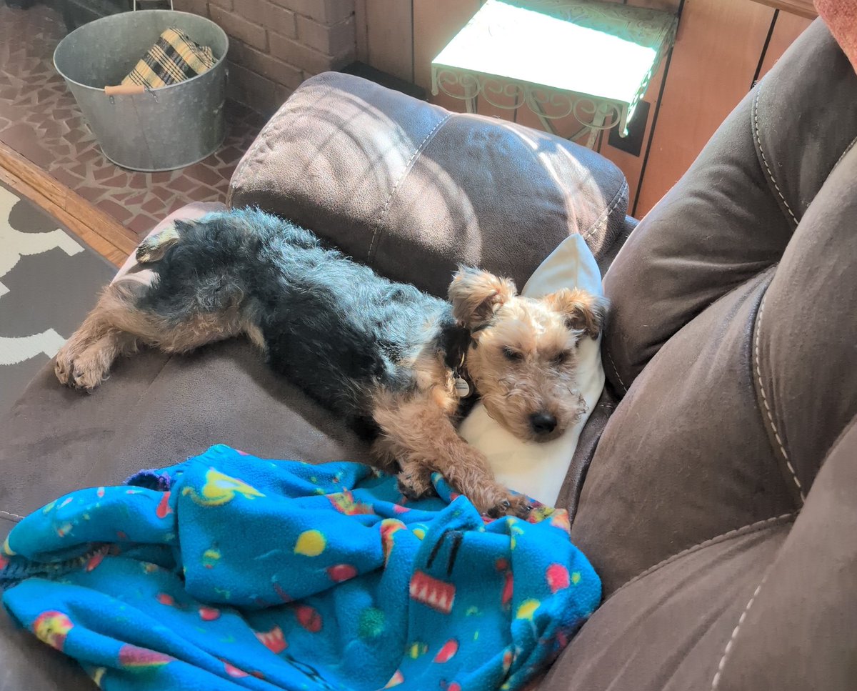 Patrick Hubbard tweet media