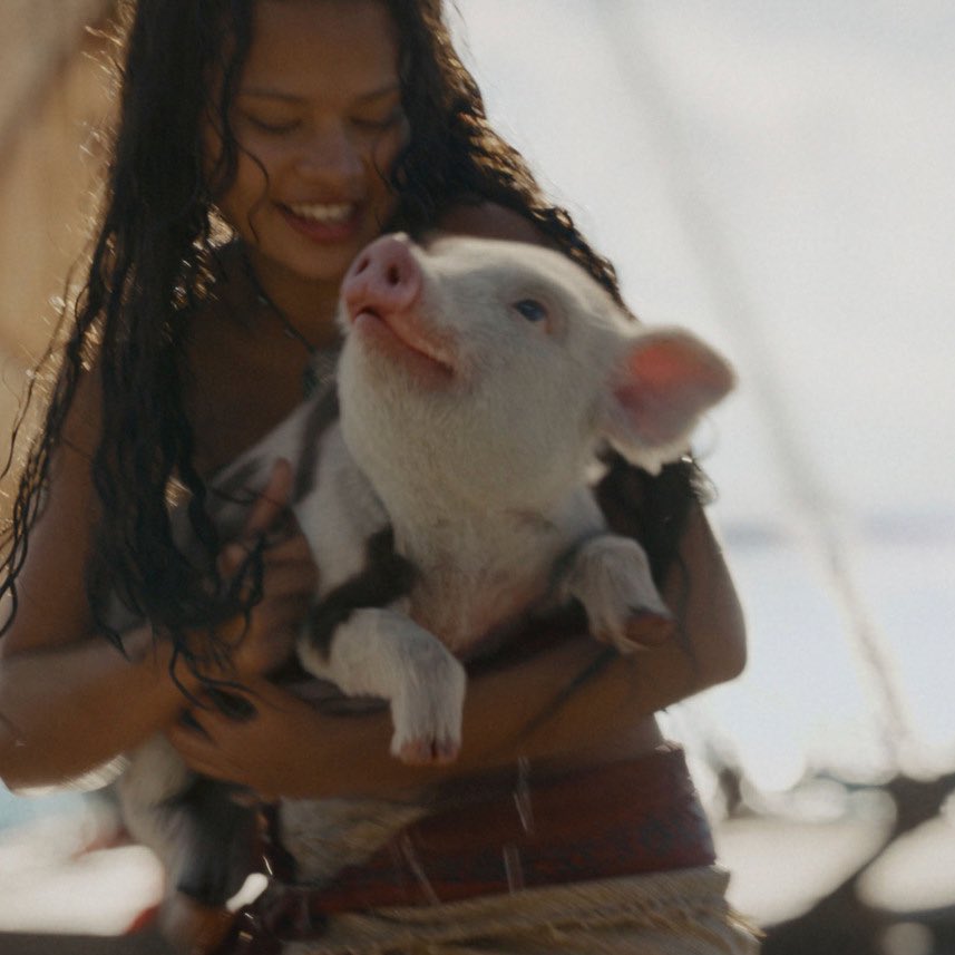 DiscussingFilm tweet media