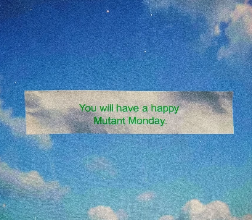 Bored Ape Yacht Club 🍌 tweet media