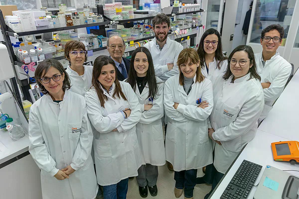 Una combinación de radioterapia y terapia génica experimental muestra "un potente efecto antitumoral" en modelos animales elmundo.es/ciencia-y-salu…