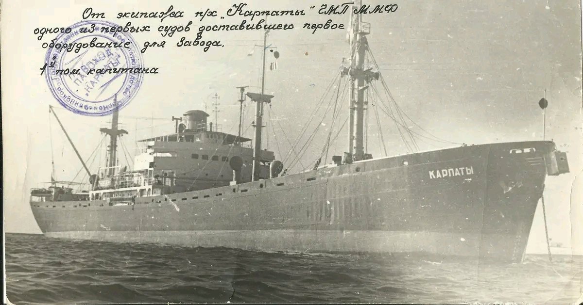 Дмитрий tweet media