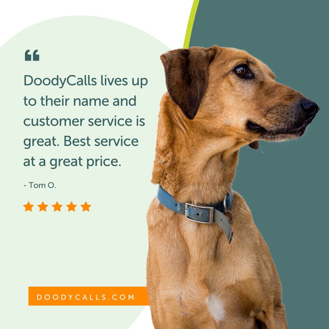 DoodyCallsNNJ's tweet image. Our customers mean the world to us. Thanks for sharing these kind words, Tom!

 #doodycalls #pooperscooper