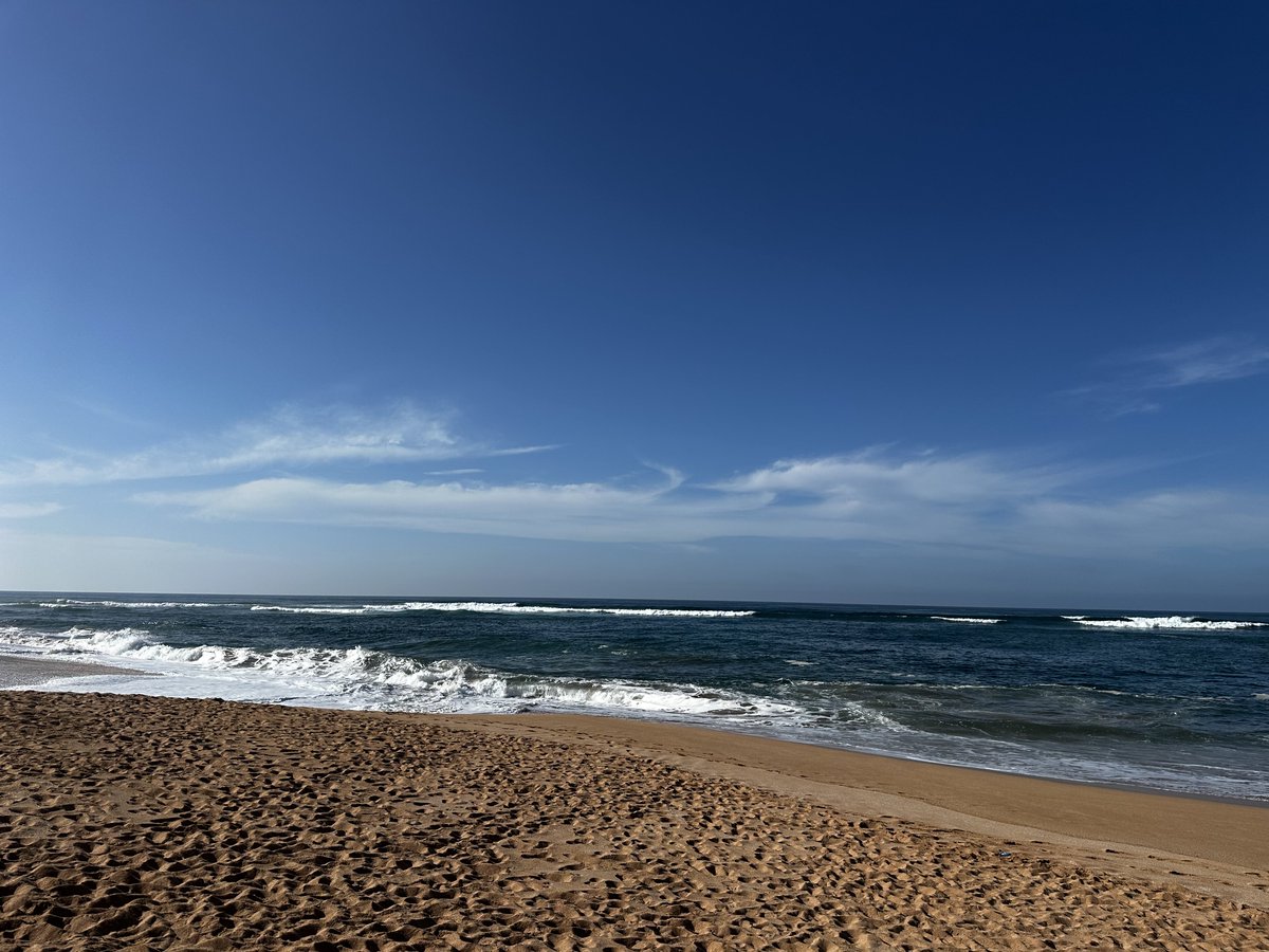 Limoune 🎗 tweet media