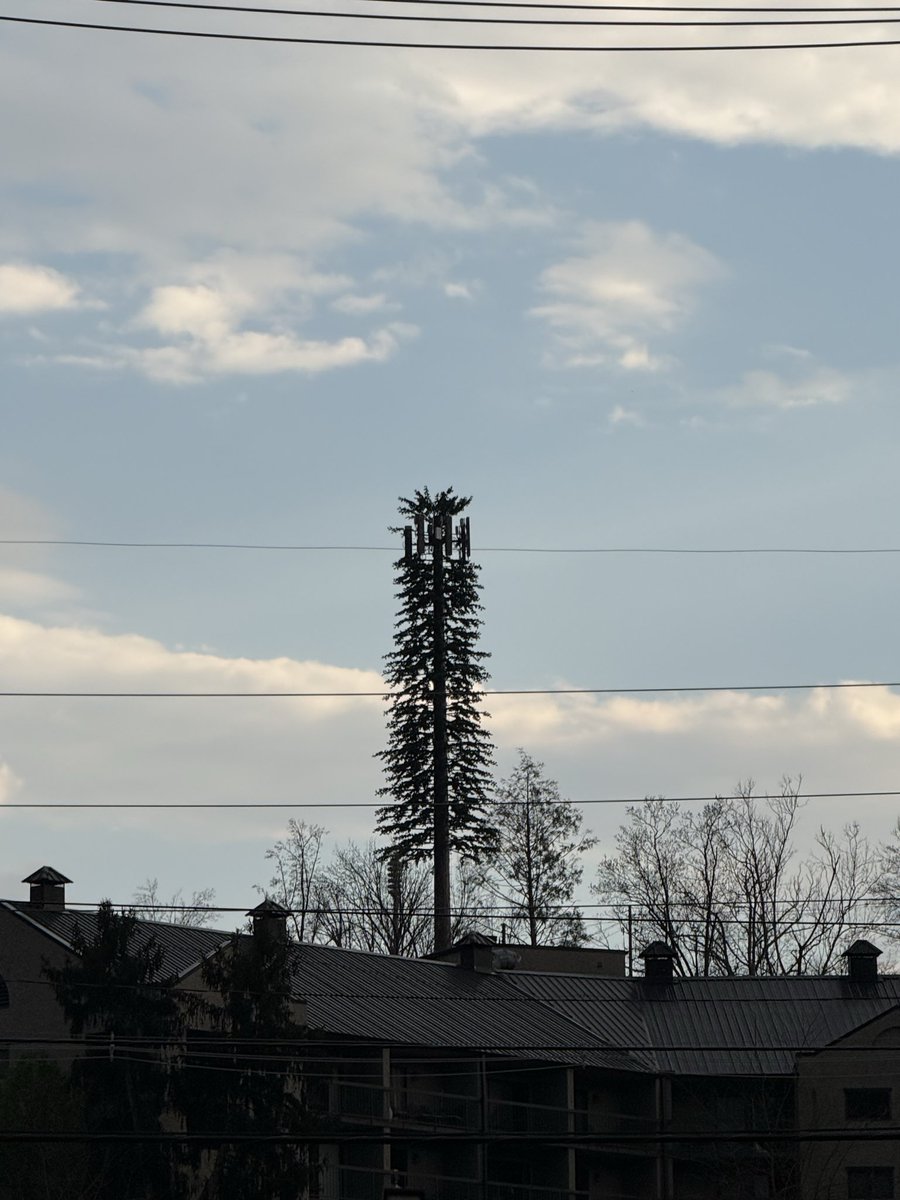 Ray Patterson tweet media