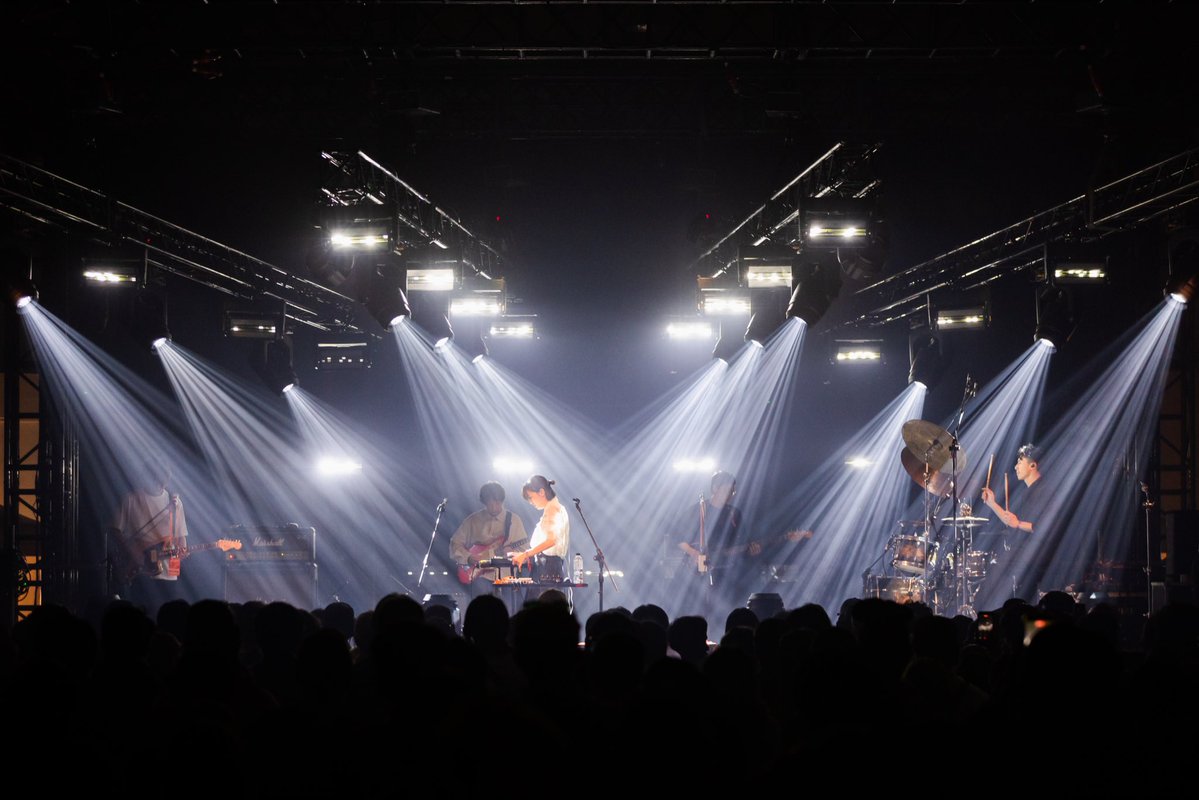 Manic Sheep tweet media