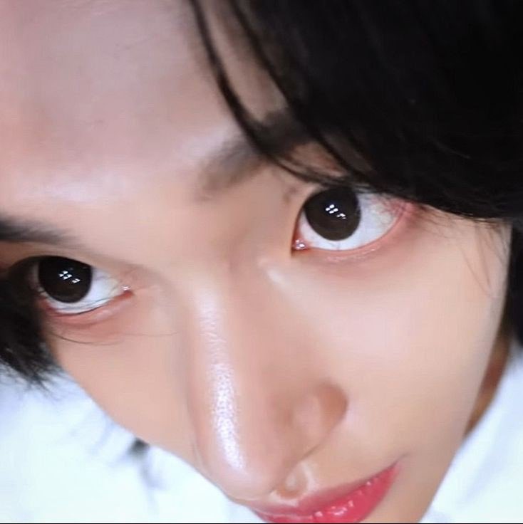 Super bbin Protector tweet media