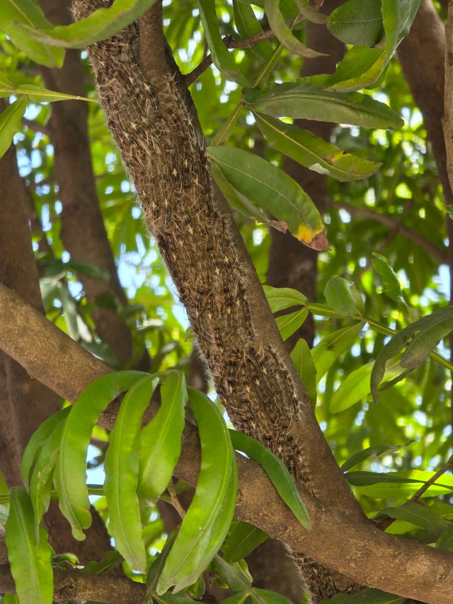 Yuck yuck yuck yuck yuck. 😭😭😭😭😭😭😭😭