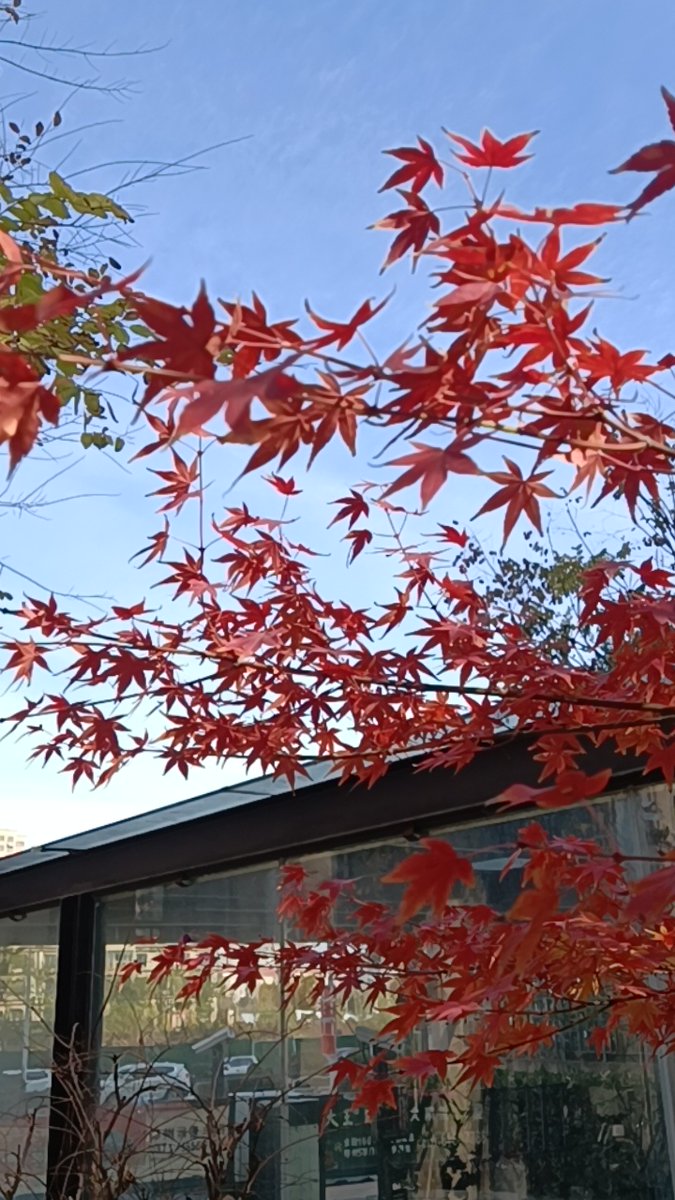 manu inge tweet media