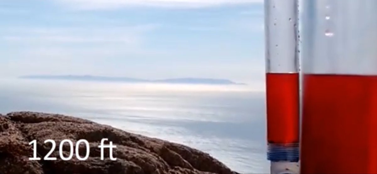 ジャマイカ46 tweet media