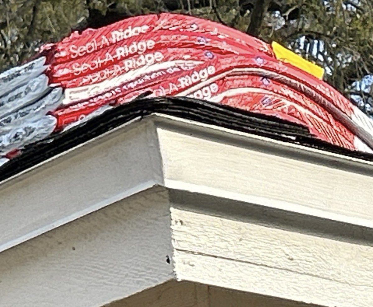 FSUBrando🍢 tweet media