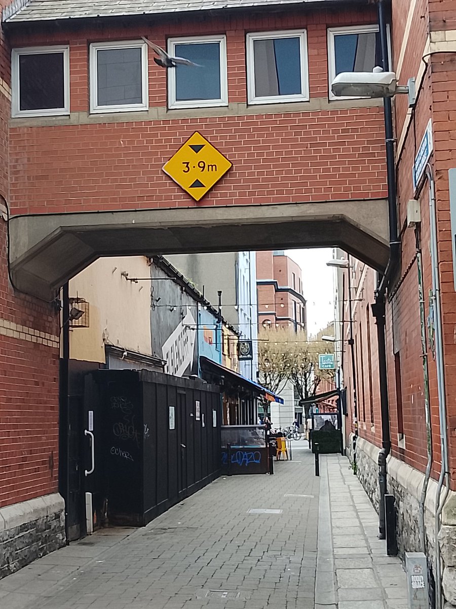 Neil Fox tweet media