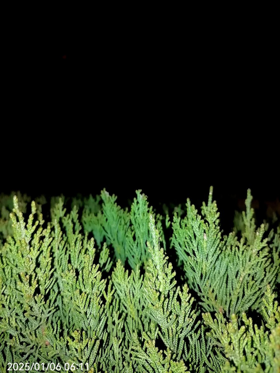 NaRk0bAr0n tweet media