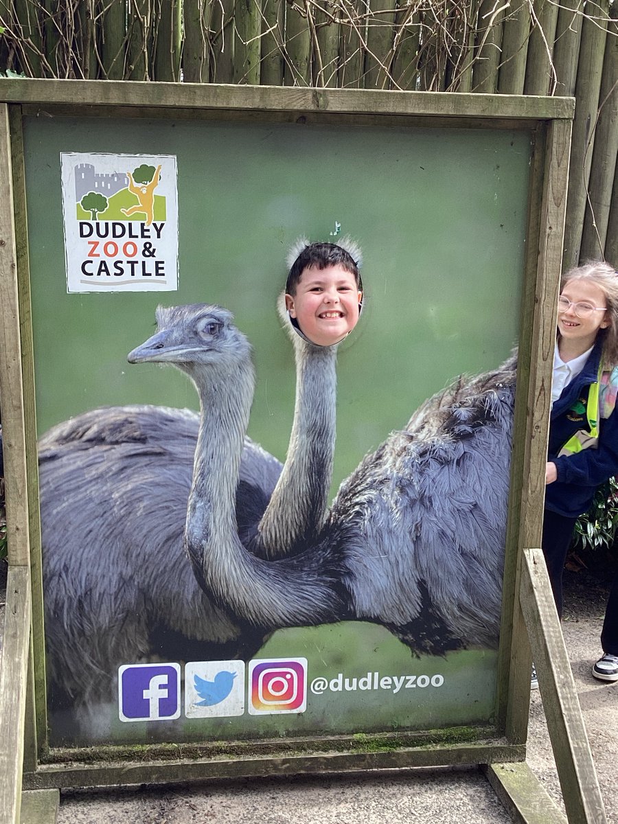 Timberley Academy tweet media