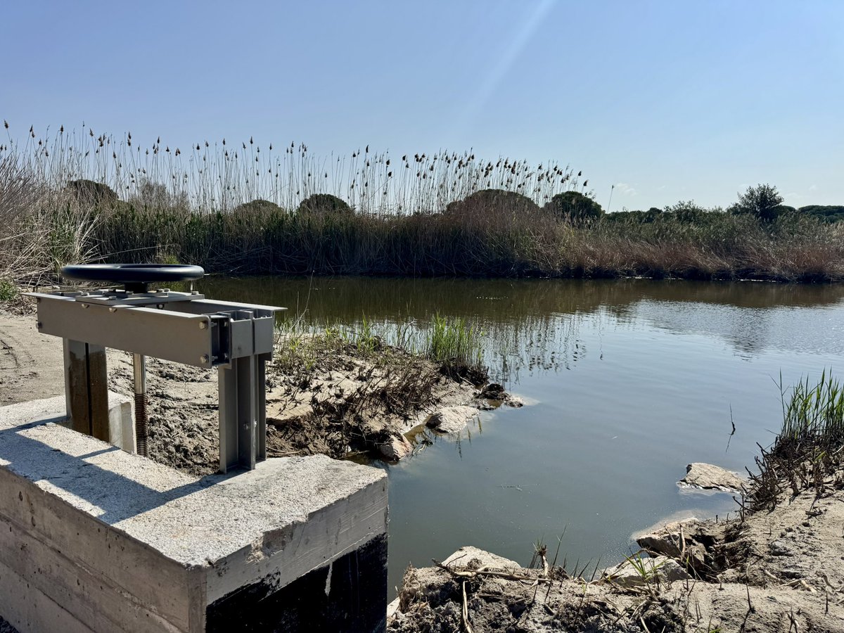 Rubén Cabús tweet media