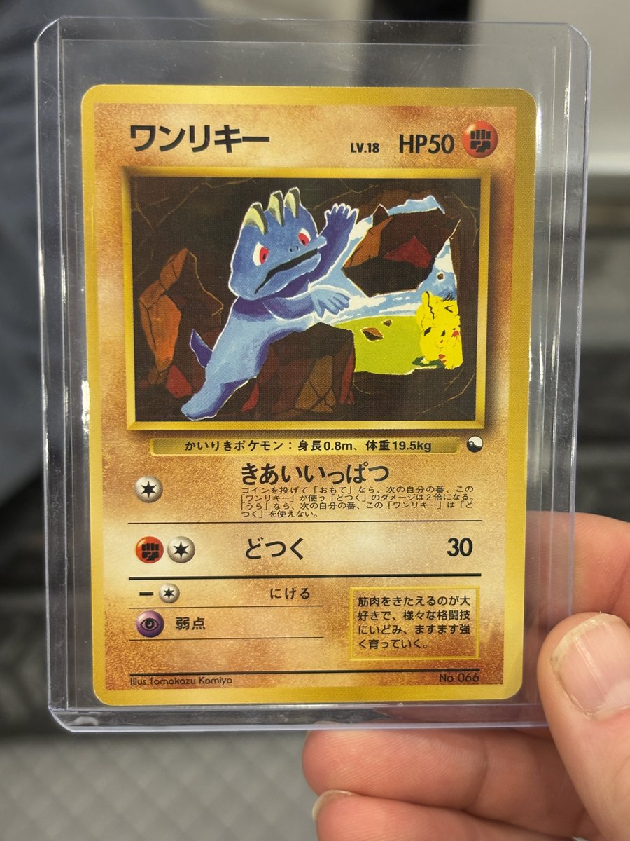 DachshundWizard 🧙‍♂️ tweet media